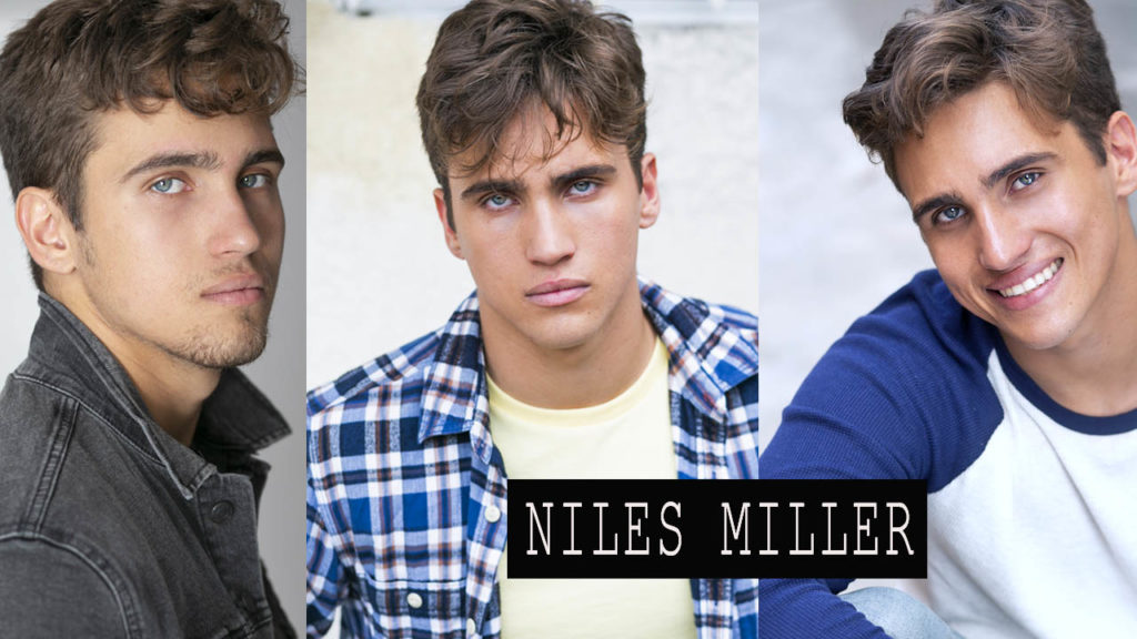 Niles M slider
